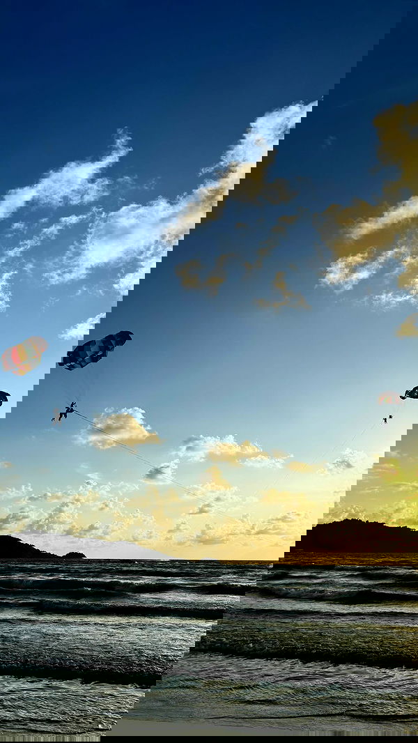 xeiyza image ~ Altpins