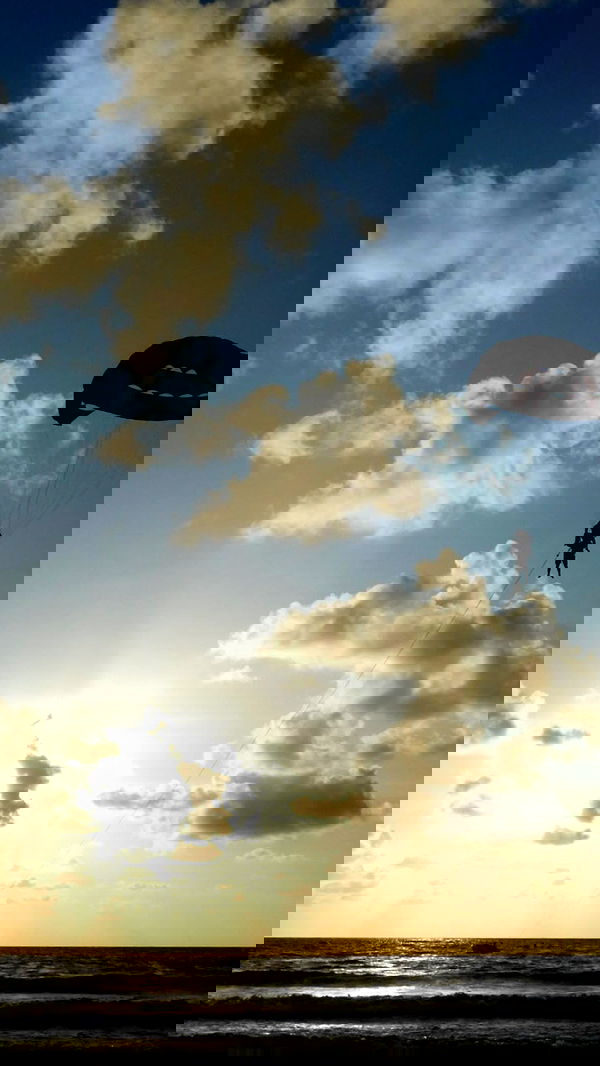 xeiyza image ~ Altpins