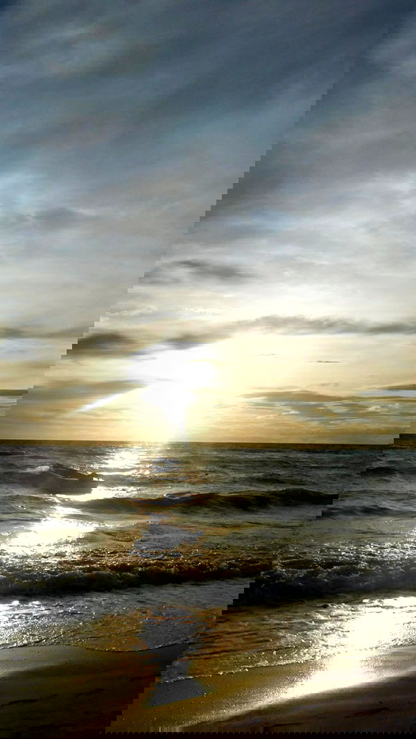 xeiyza image ~ Altpins