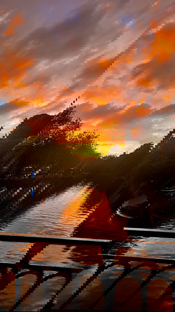 xeiyza image ~ Altpins