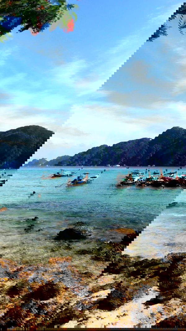 xeiyza image ~ Altpins