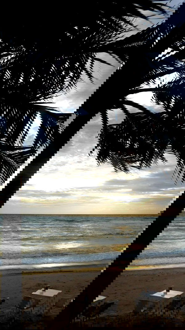 xeiyza image ~ Altpins