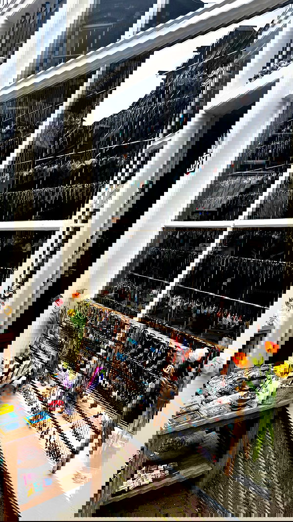 xeiyza image ~ Altpins