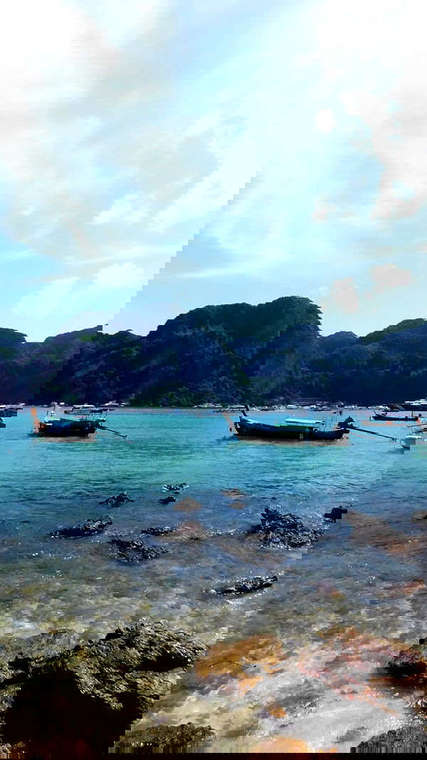 xeiyza image ~ Altpins