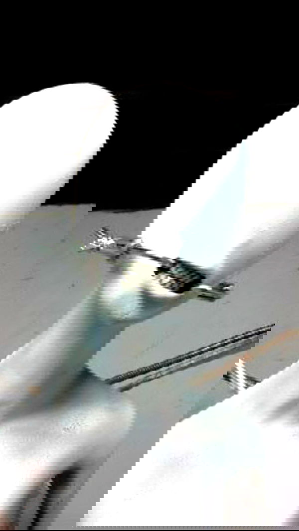 xeiyza image ~ Altpins