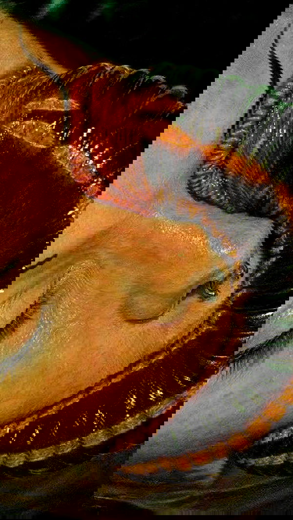 xeiyza image ~ Altpins