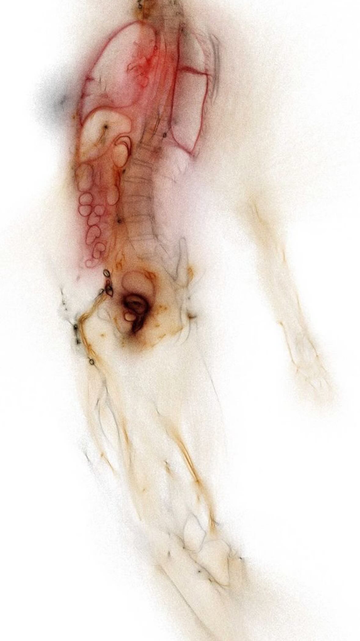 xeiyza instagram image archive image