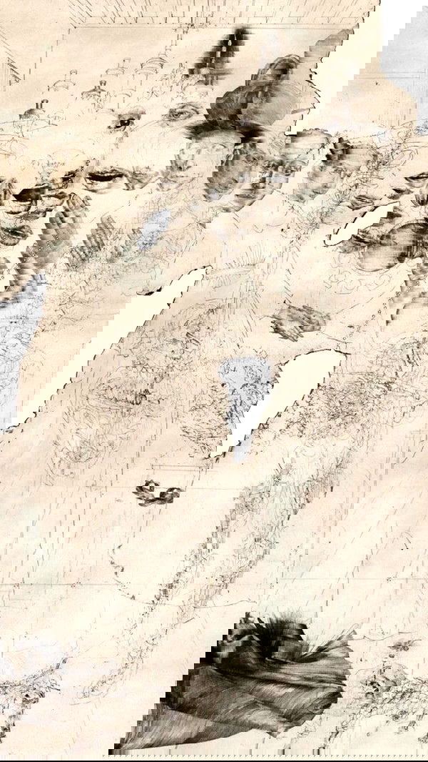 xeiyza image ~ Altpins