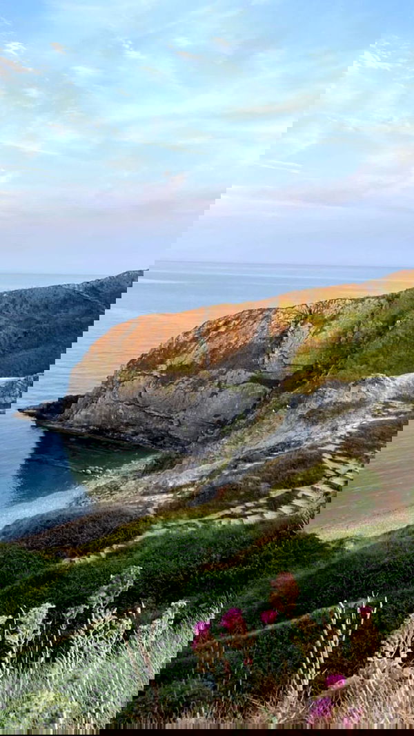 xeiyza image ~ Altpins