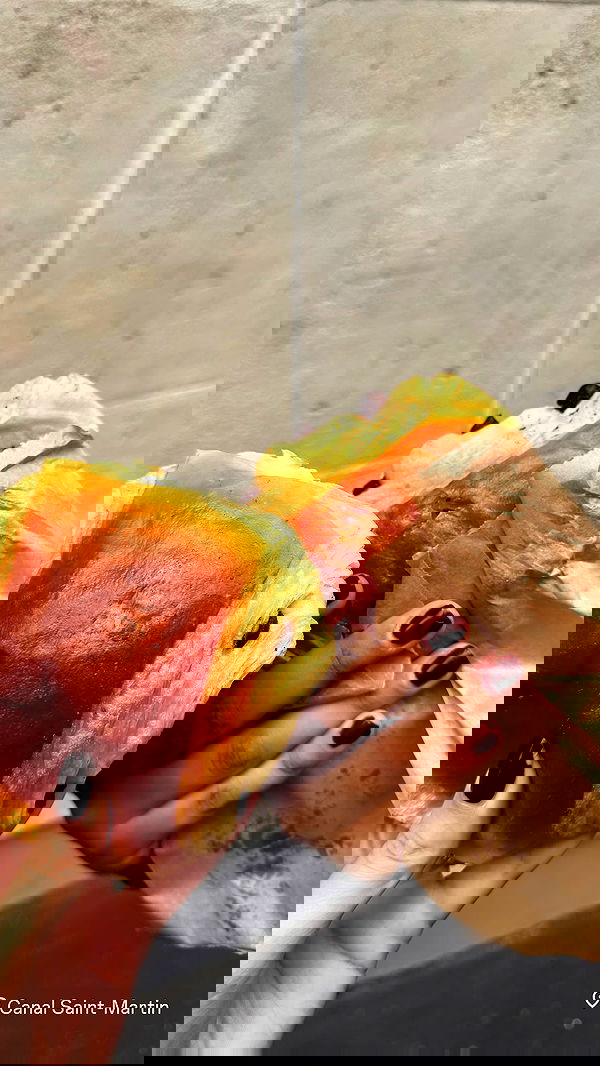 xeiyza image ~ Altpins