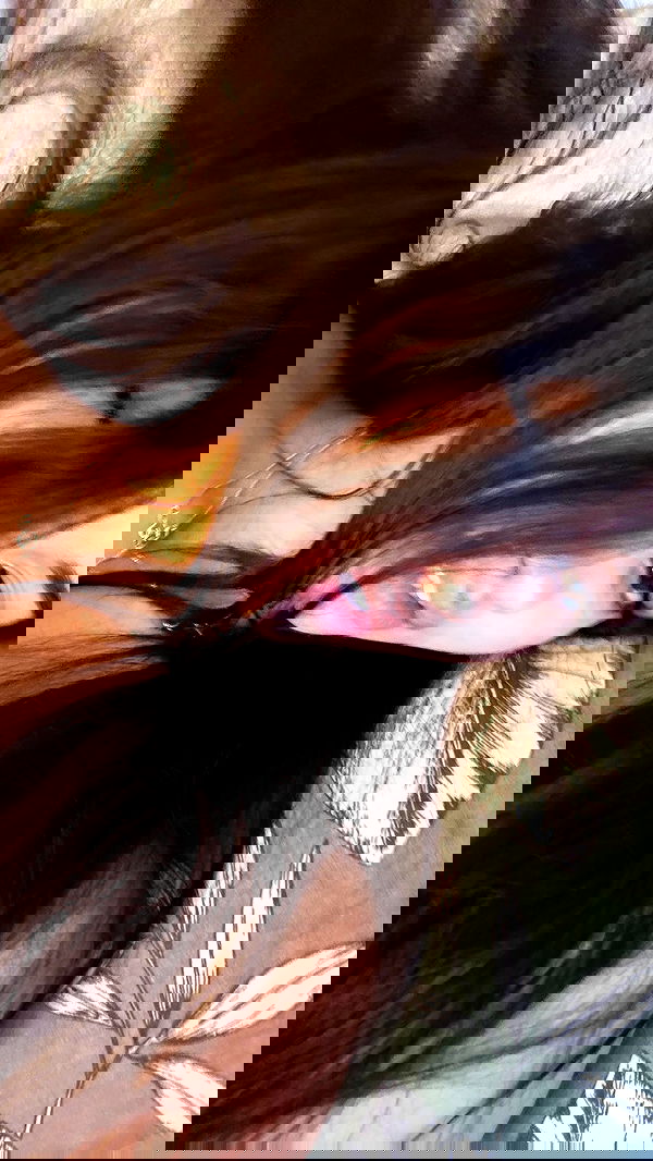 xeiyza image ~ Altpins