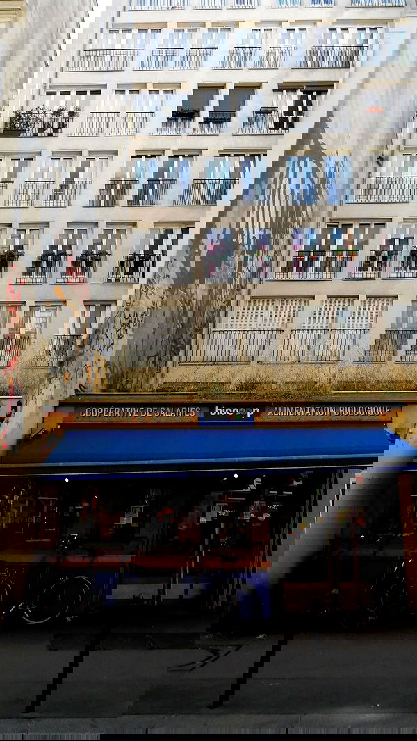 xeiyza image ~ Altpins