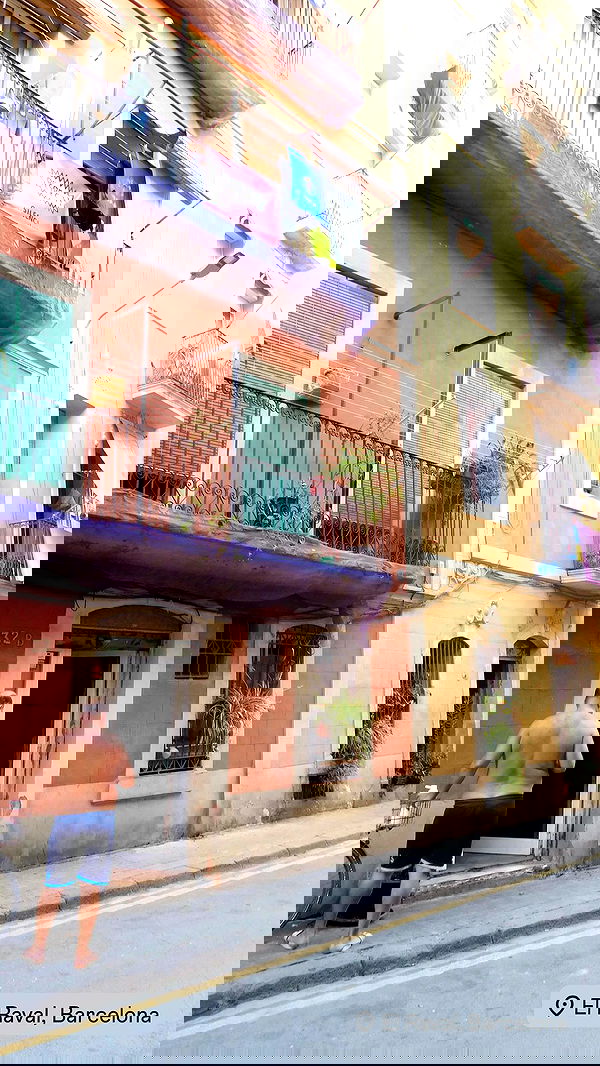 xeiyza image ~ Altpins