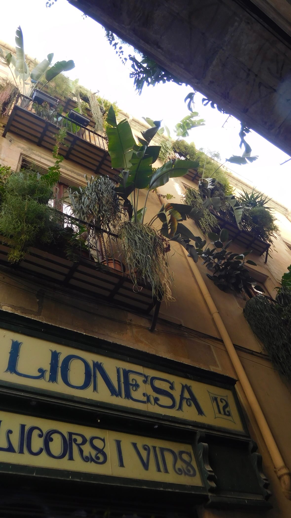 xeiyza instagram image archive image