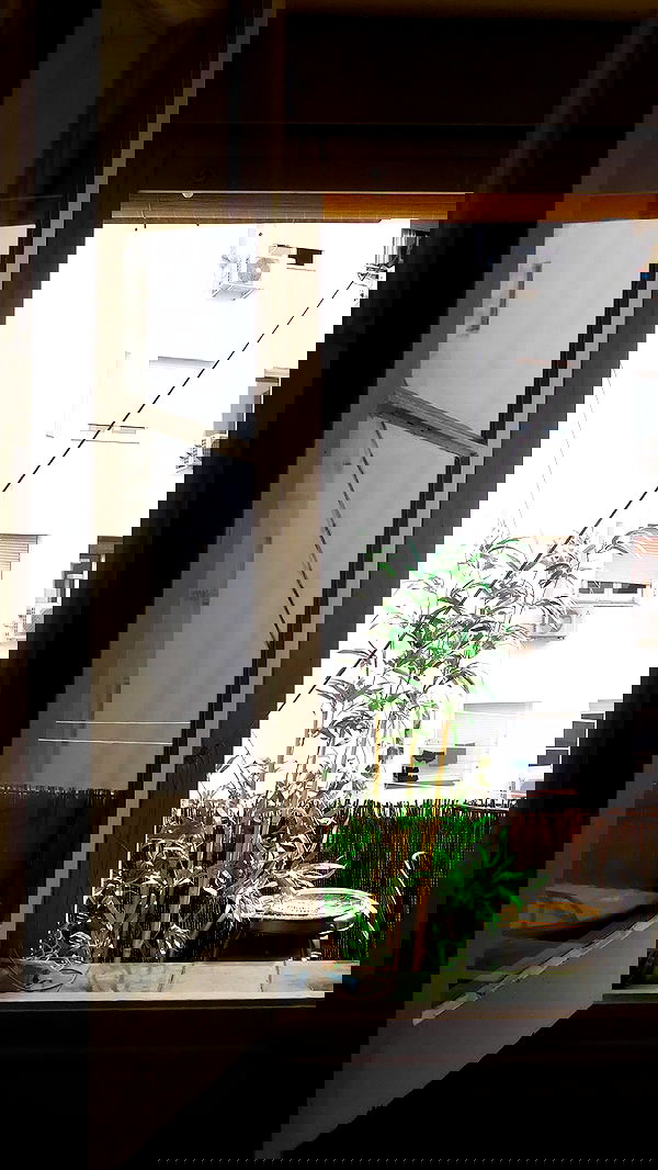 xeiyza image ~ Altpins