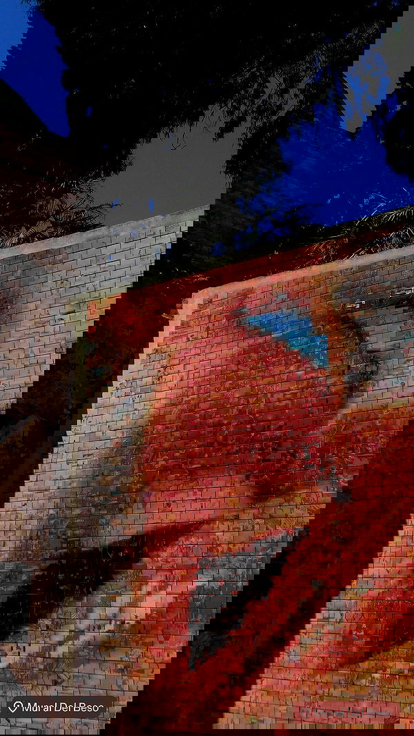 xeiyza image ~ Altpins