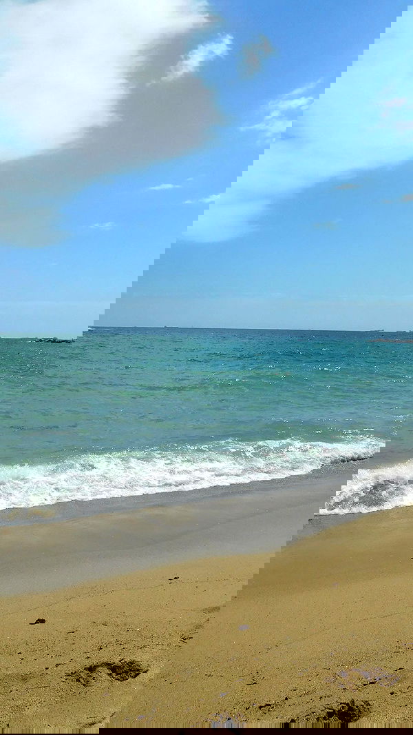 xeiyza image ~ Altpins