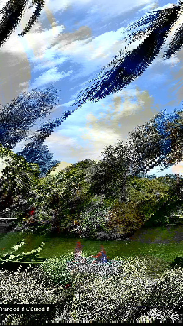 xeiyza image ~ Altpins