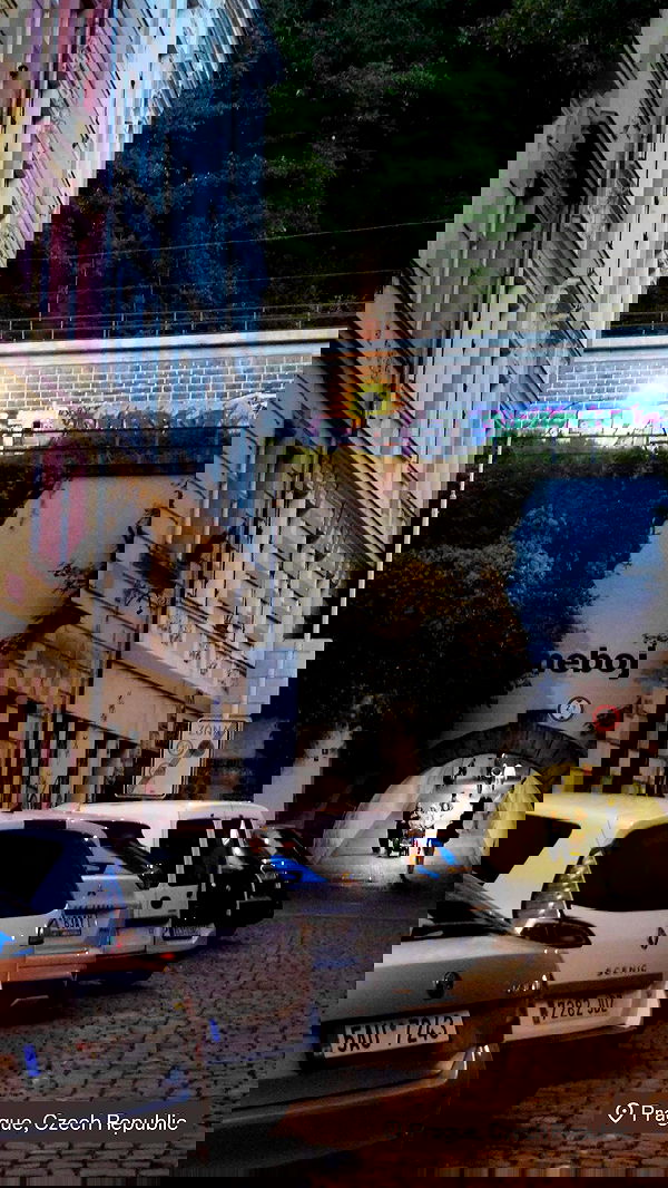 xeiyza image ~ Altpins