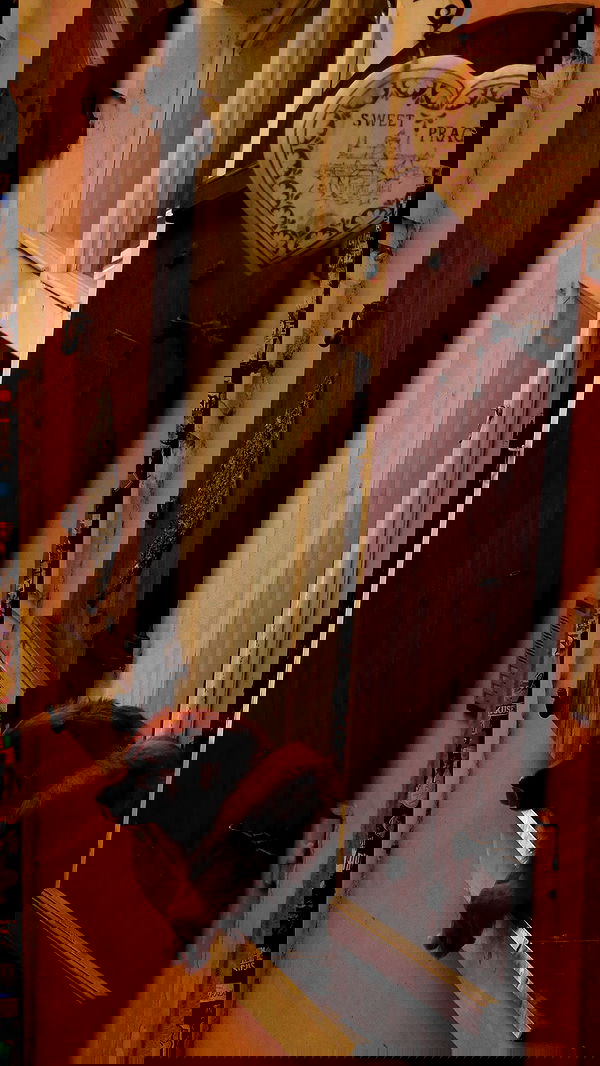 xeiyza image ~ Altpins