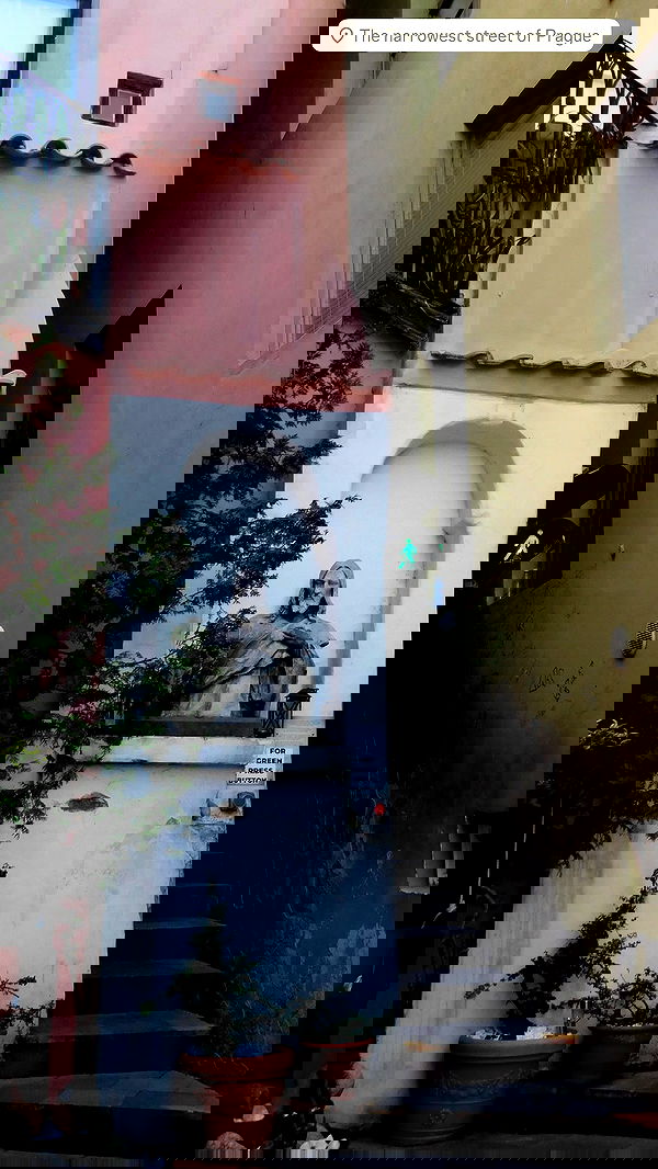 xeiyza image ~ Altpins