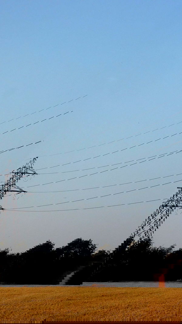 xeiyza image ~ Altpins