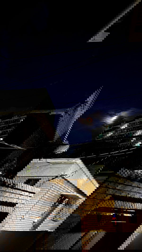 xeiyza image ~ Altpins