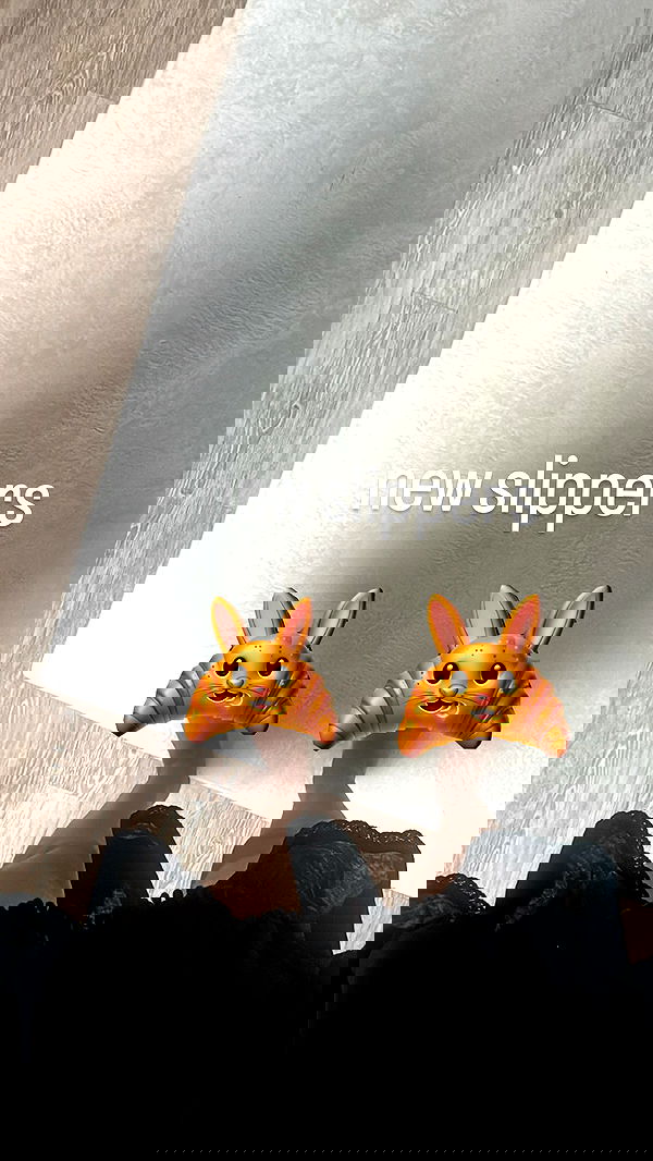 xeiyza image ~ Altpins