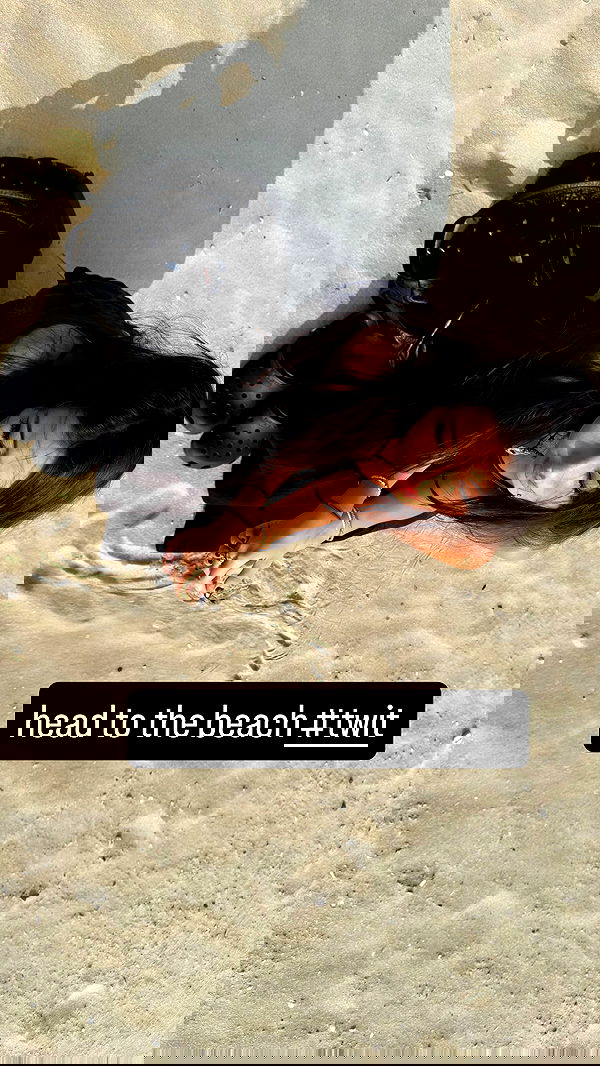 xeiyza image ~ Altpins