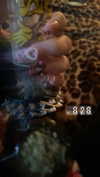 xo.cynnthiia Altpins Profile Picture