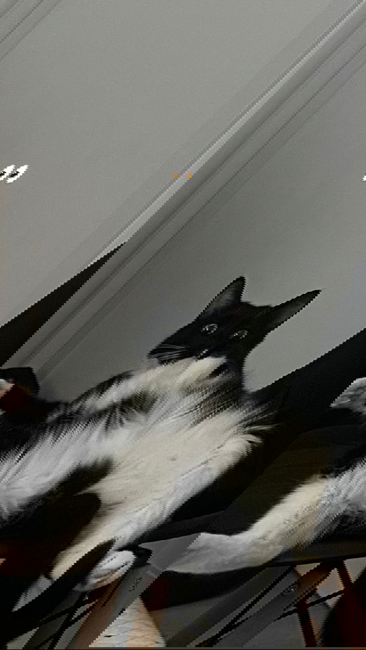 xomut_ instagram image archive image