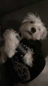 xylia444 Altpins Profile Picture