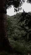 xylia444 Altpins Profile Picture