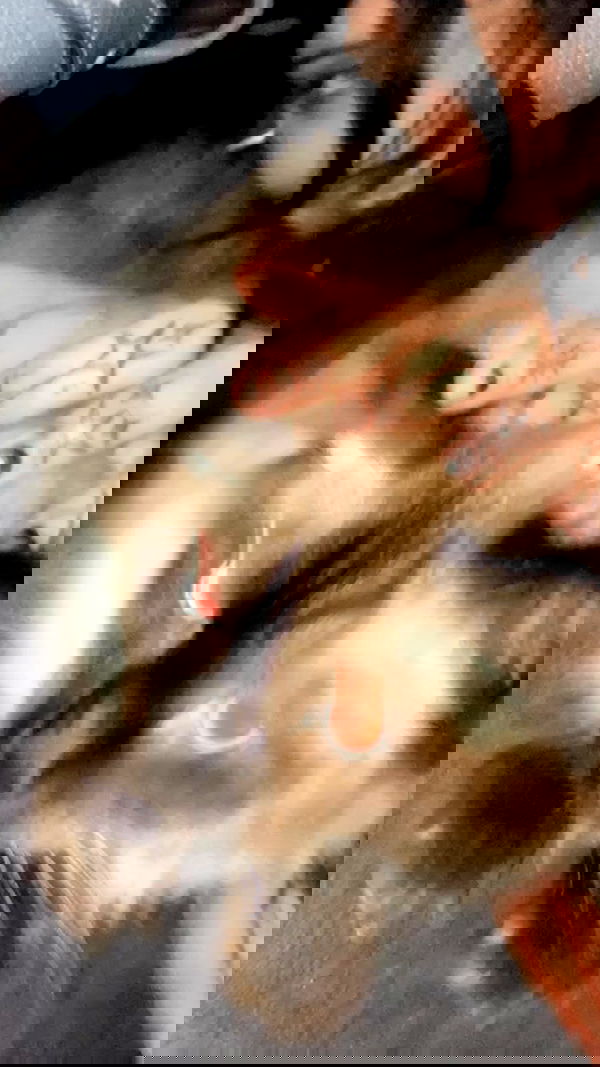 xzot1_met4xx image ~ Altpins