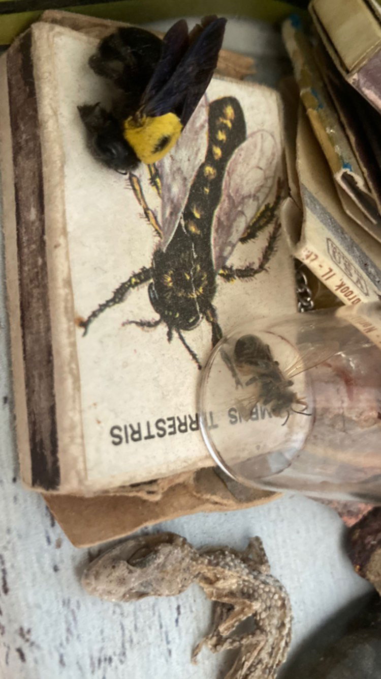 xzot1_met4xx instagram image archive image