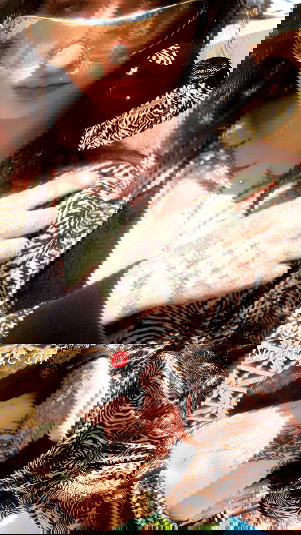 xzot1_met4xx image ~ Altpins