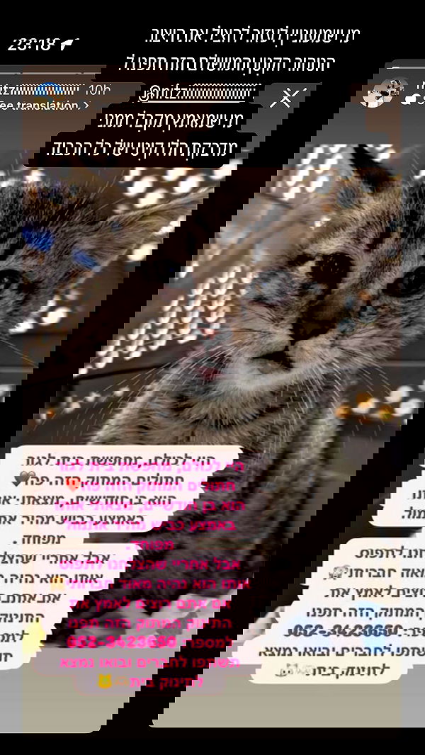 xzot1_met4xx image ~ Altpins