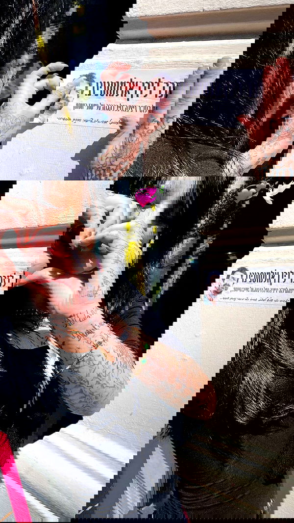 xzot1_met4xx image ~ Altpins