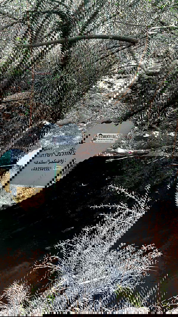 xzot1_met4xx image ~ Altpins