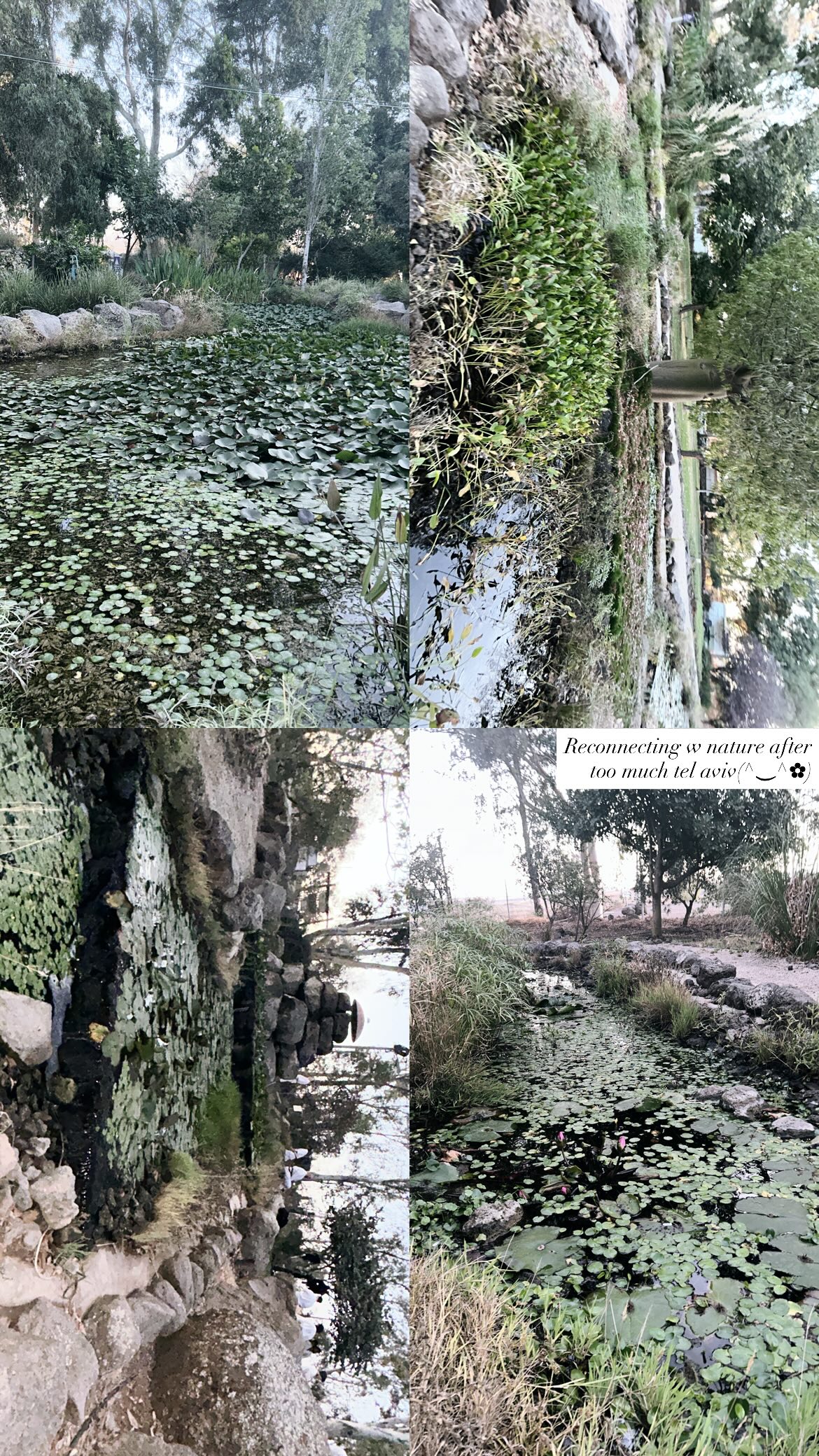 xzot1_met4xx instagram image archive image