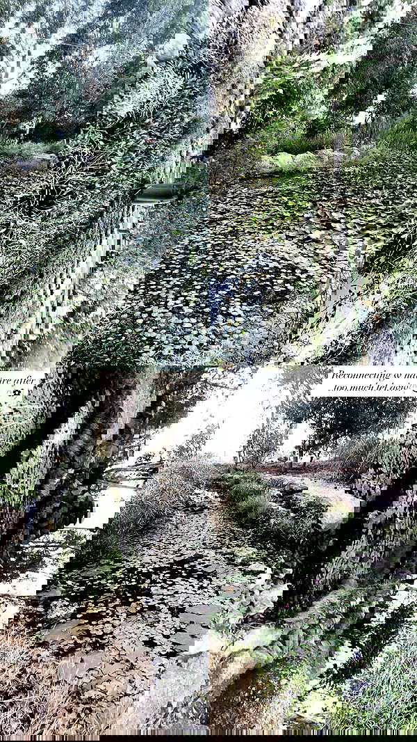 xzot1_met4xx image ~ Altpins