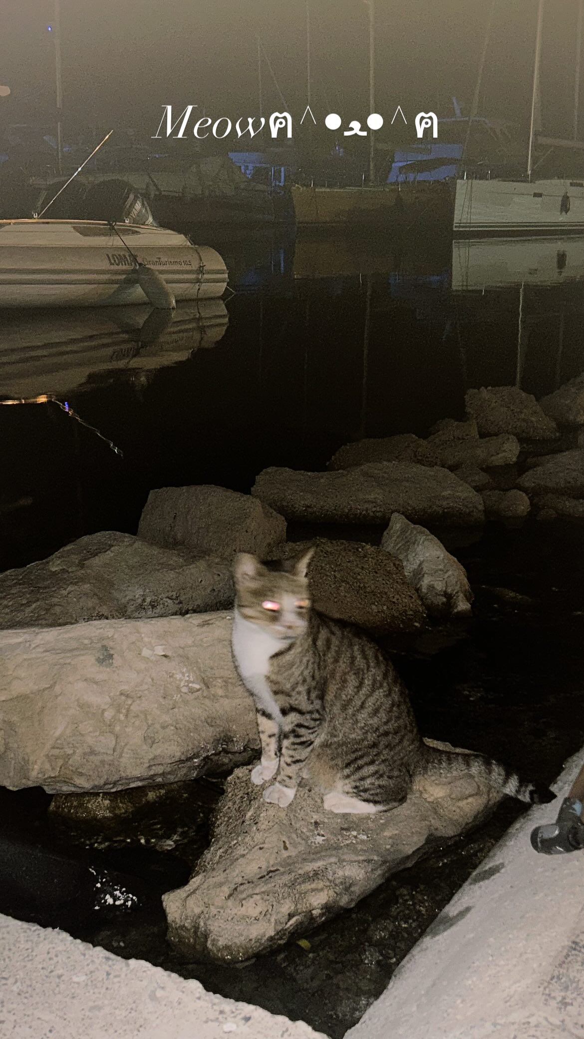 xzot1_met4xx instagram image archive image