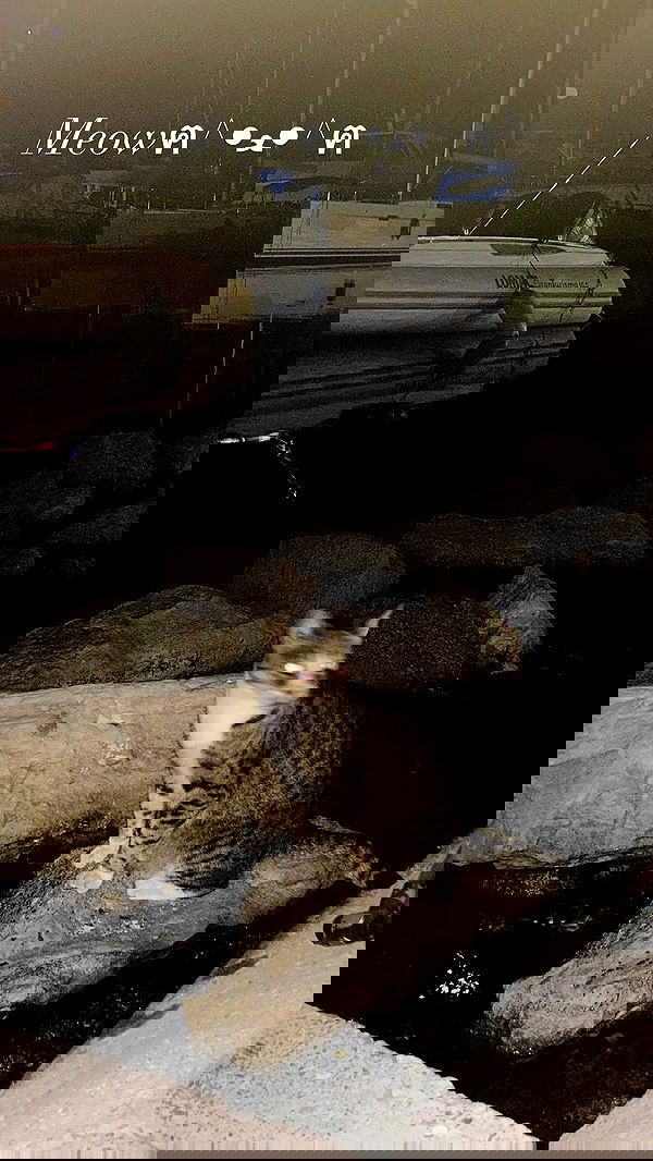 xzot1_met4xx image ~ Altpins