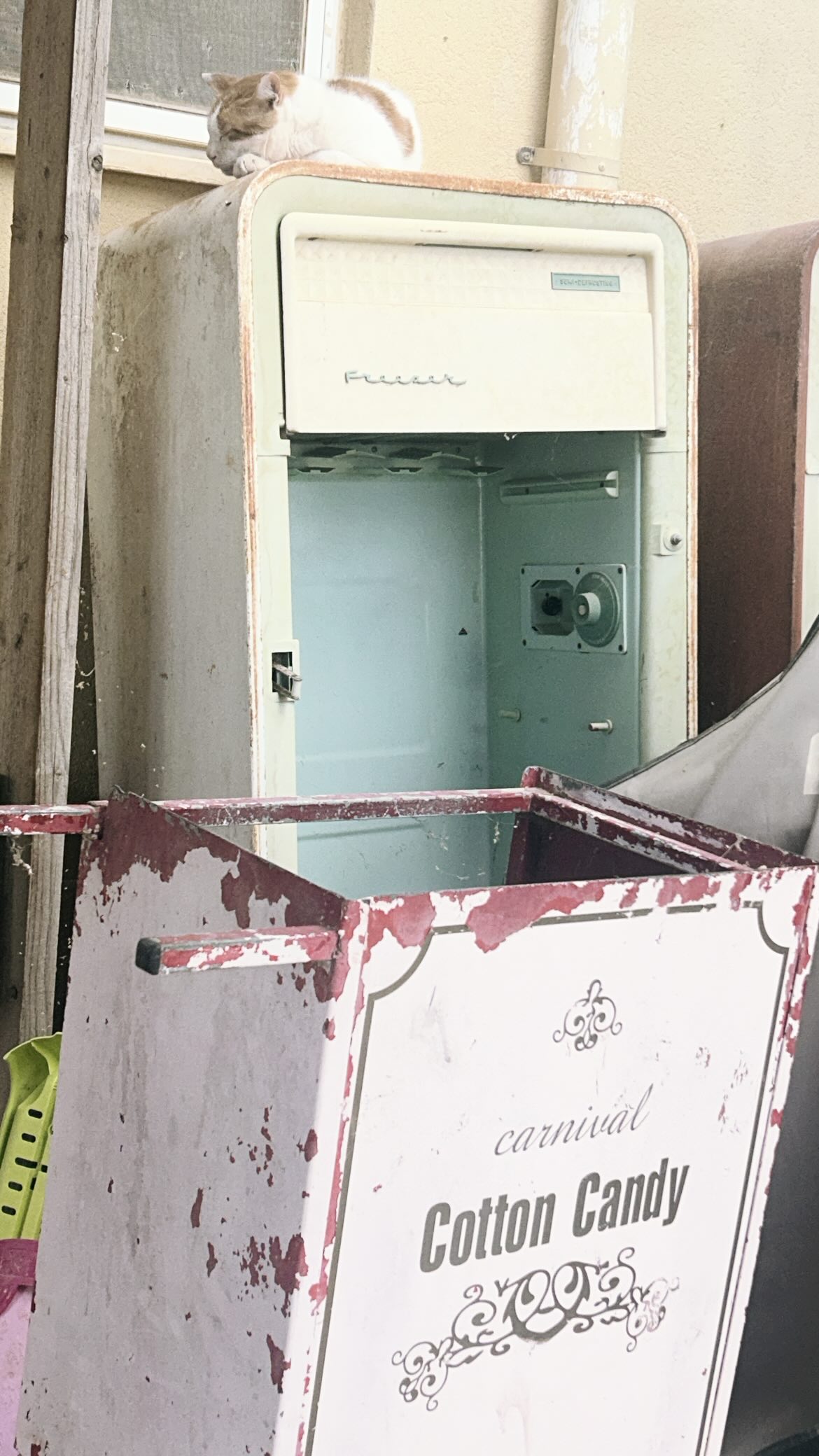 xzot1_met4xx instagram image archive image