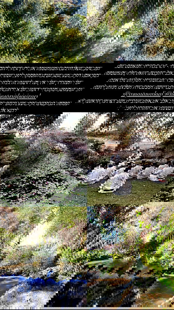 xzot1_met4xx image ~ Altpins