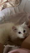 yael_p_16 Altpins Profile Picture