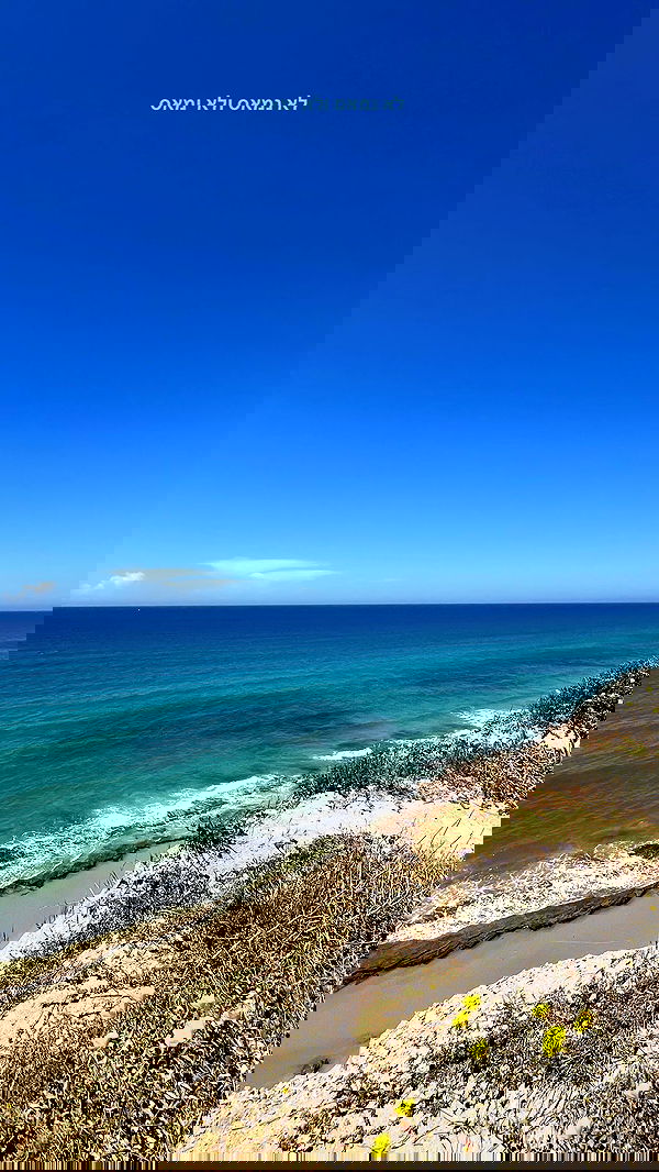 yaelxyazdi yaelxyazdi archive image