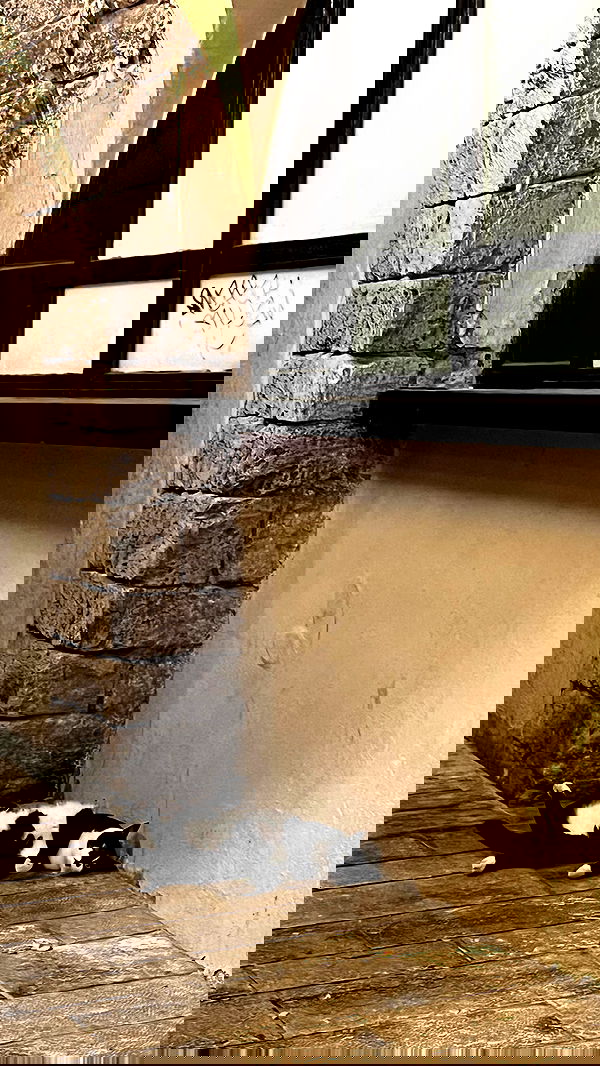 yaelxyazdi yaelxyazdi archive image