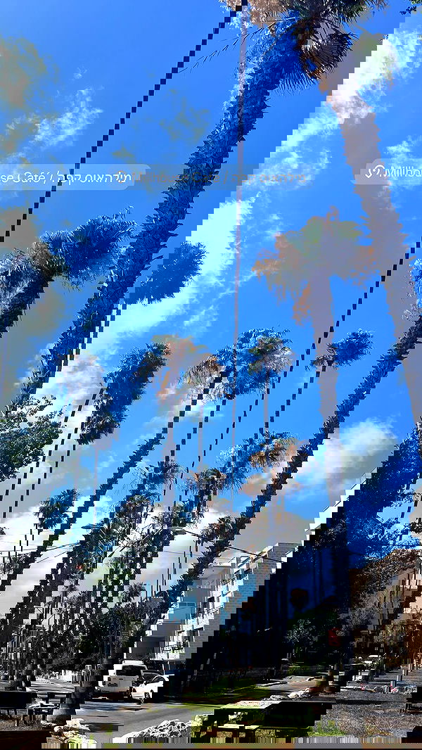 yaelxyazdi yaelxyazdi archive image