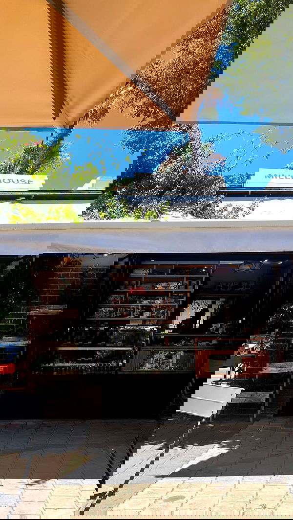 yaelxyazdi yaelxyazdi archive image